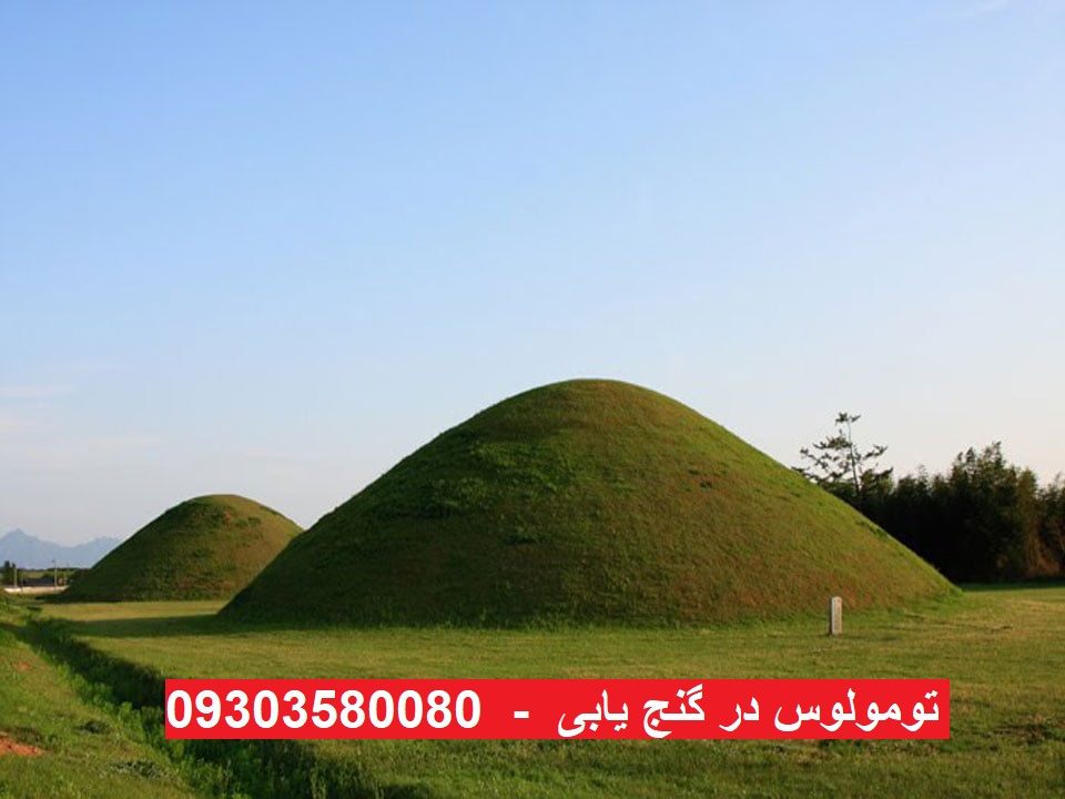 تومولوس در گنج یابی