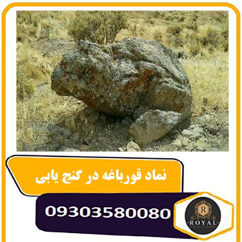 نماد قورباغه در گنج یابی