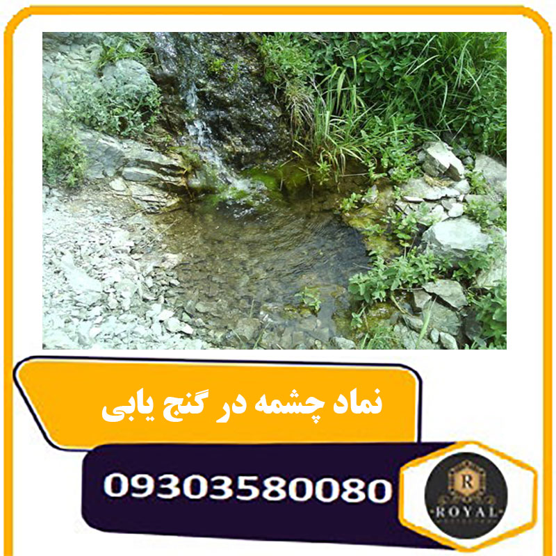 چشمه در گنج یابی و دفینه یابی