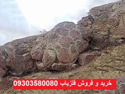 نماد لاکپشت در گنج یابی