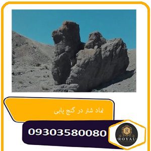 نماد شتر در گنج یابی