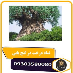 نماد درخت در گنج یابی