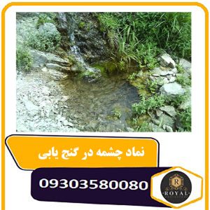 چشمه در گنج یابی و دفینه یابی